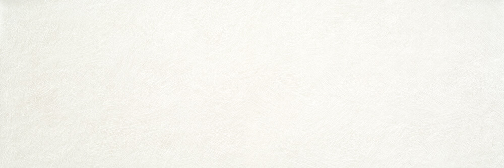 INDIGA WHITE 40X120